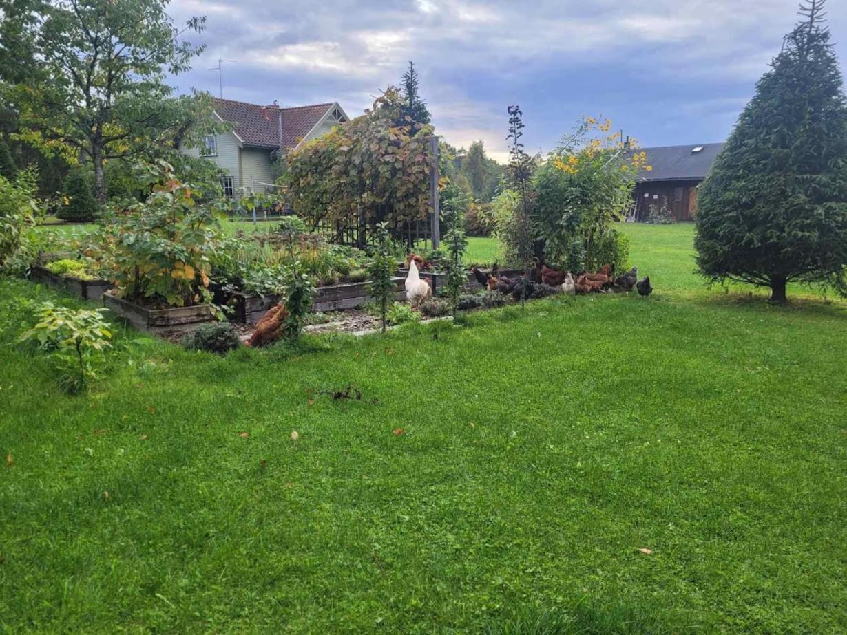 North Lakeside B&B Plateliai Eksteriør bilde